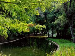 -上海共青森林公园