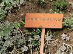 -寂照庵