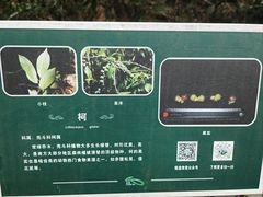 -福道