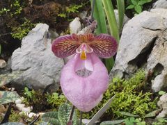 -国家植物园南园