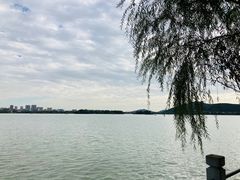 -无锡蠡湖国家湿地公园-蠡园