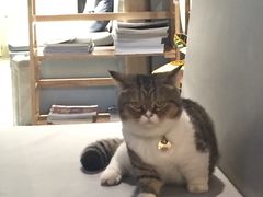 -小时光咖啡馆(开森度假森林店)