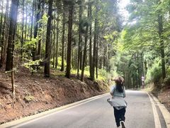 -山王坪喀斯特国家生态公园