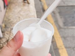 -洪馨椰子