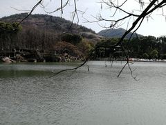-白马涧龙池景区