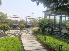 -蘇河湾·新鲁菜·泰山宴(泰山店)