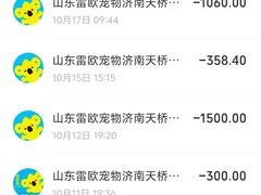 -瑞派雷欧宠物医院·24h夜诊·心脏骨科牙科·全科重症转诊中心(无影山店)