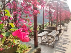 -龙门水都景区