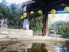 景点-杭州第一世界大酒店·云曼温泉