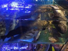 -77号渔船·蒸海鲜青岛菜(积米崖店)