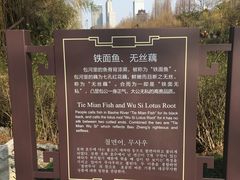 -包公祠