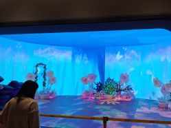 -超级奈尔宝SUPER NEOBIO(杭州星光店)