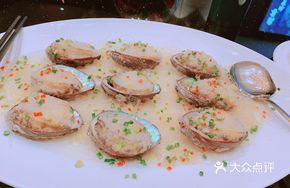 South African Abalone