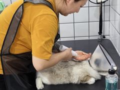 -BABIT巴比特宠物(MOMOPARK店)