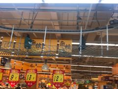 -大润发(康桥店)