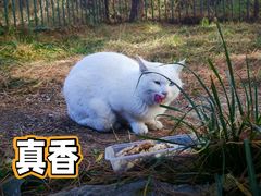 -颐和园