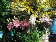 -春暖花开(西溪店)