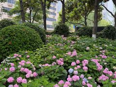 -常州古运河南大街文化旅游区-人民公园