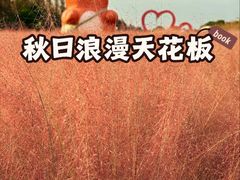 -嘉北郊野公园