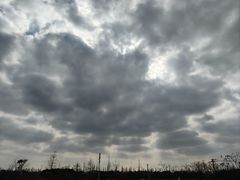 -嘉北郊野公园