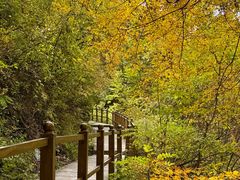 -叠溪松坪沟景区