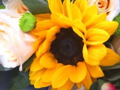 -南京医科大学第二附属医院(姜家园院区)