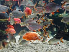 -太平洋海底世界