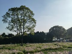 -凤凰沟景区
