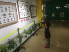 -上海昆虫博物馆