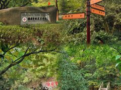 -宁波市保国寺古建筑博物馆