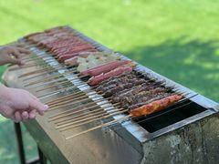 -尚庄度假村·庭台树下·户外烧烤·团建CS·轰趴营地(上庄水库店)