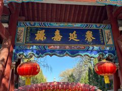 -大槐树寻根祭祖园