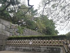 -名古屋城