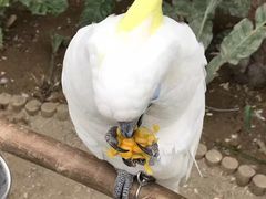 -世界地热博览园