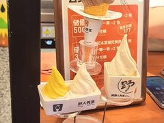 -野人先生Gelato(上海长宁龙之梦店)