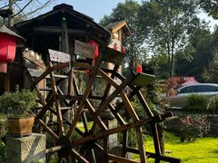 -青城甲(青城山店)