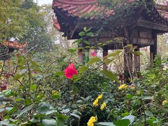 -中国观音故里广德景区