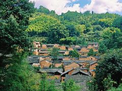 -杨家堂村