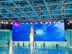 -海合安青岛极地海洋公园