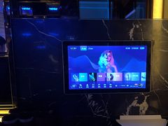 -温莎KTV(珠江路店)
