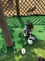 -萌宠亲子动物乐园(槐房万达店)