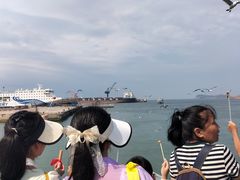 -海驴岛(荣成市)