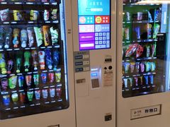 -深圳东部华侨城瀑布酒店
