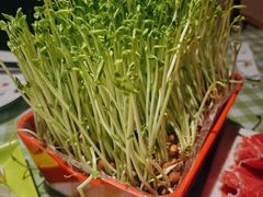 -番食园鲜食火锅(高新店)