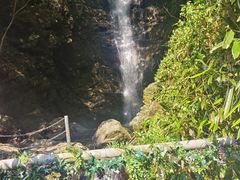 -长谷洞天