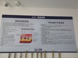 点击看大图 -玫莉蔻皮肤管理中心