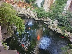 -鲤院·新中式美学·庭院餐厅(夫子庙店)