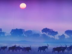 -罗红摄影艺术馆