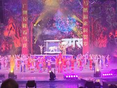 -广州长隆国际大马戏