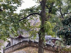 -长春观